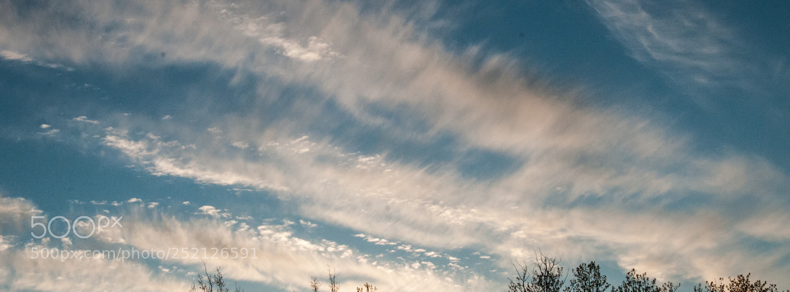 Nikon D300 sample photo. Oms_3027.jpg photography