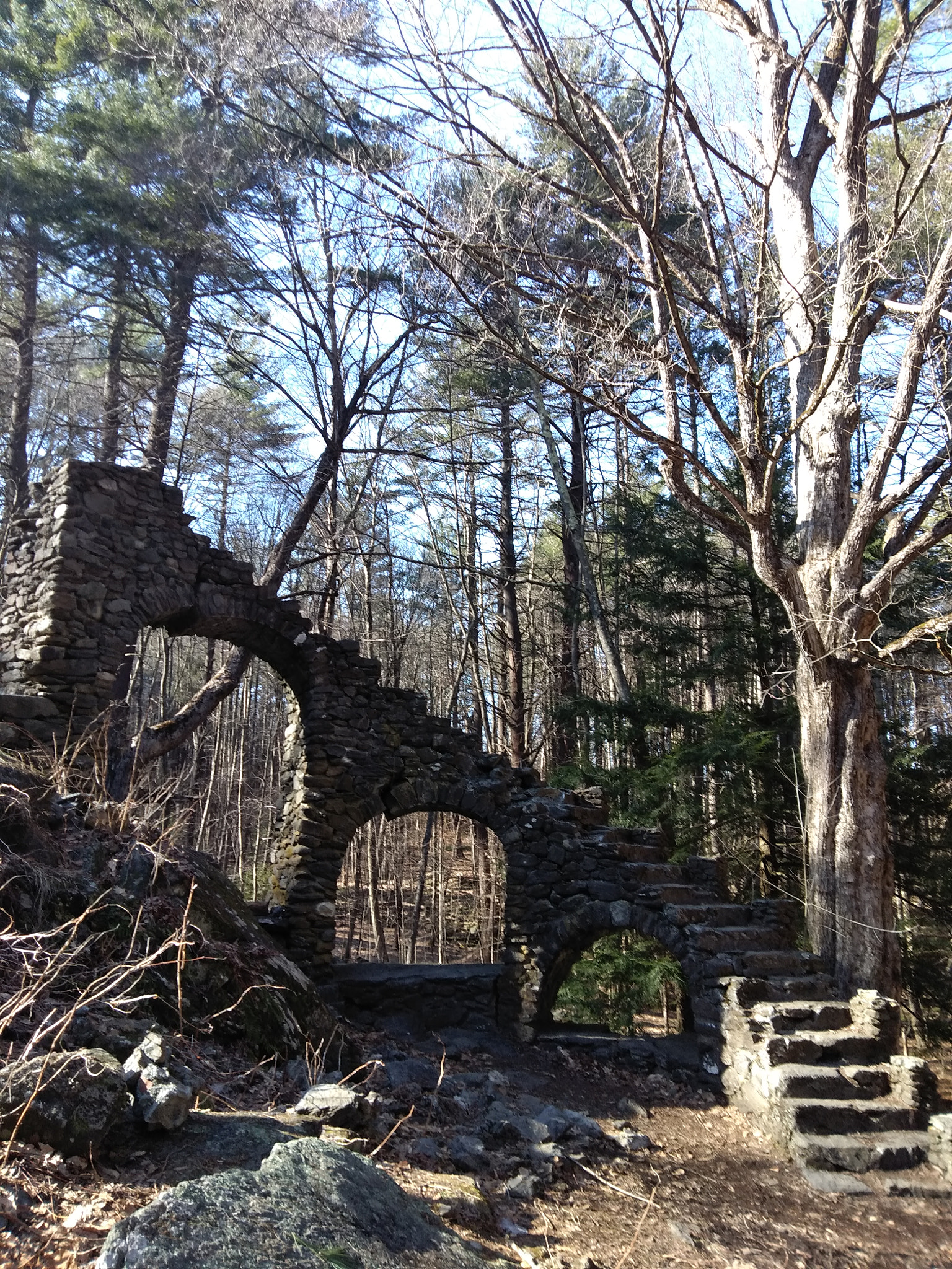 ZTE BOLTON sample photo. Untitled photography