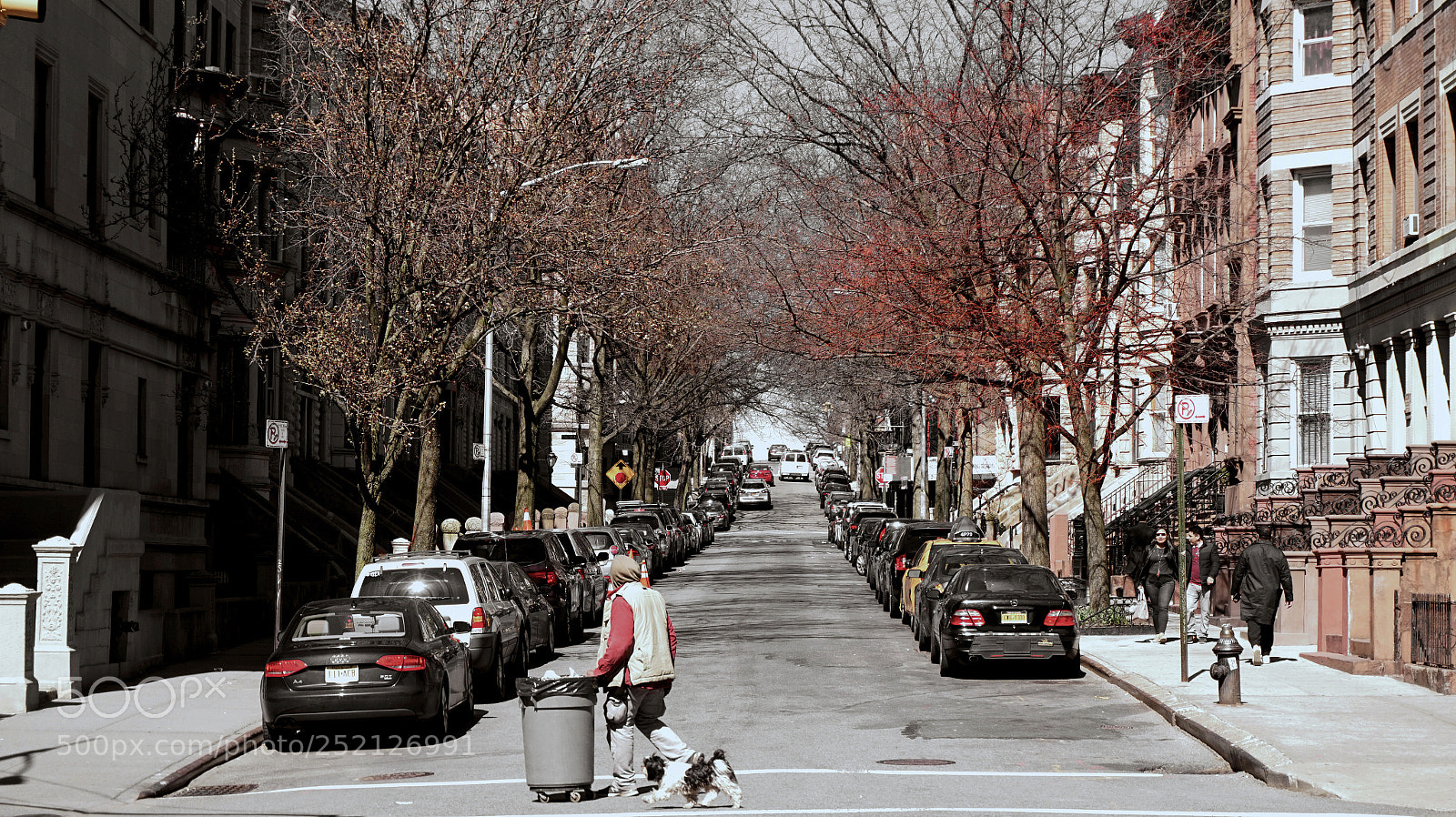 Sony Alpha a5000 (ILCE 5000) sample photo. Harlem.crossing. photography
