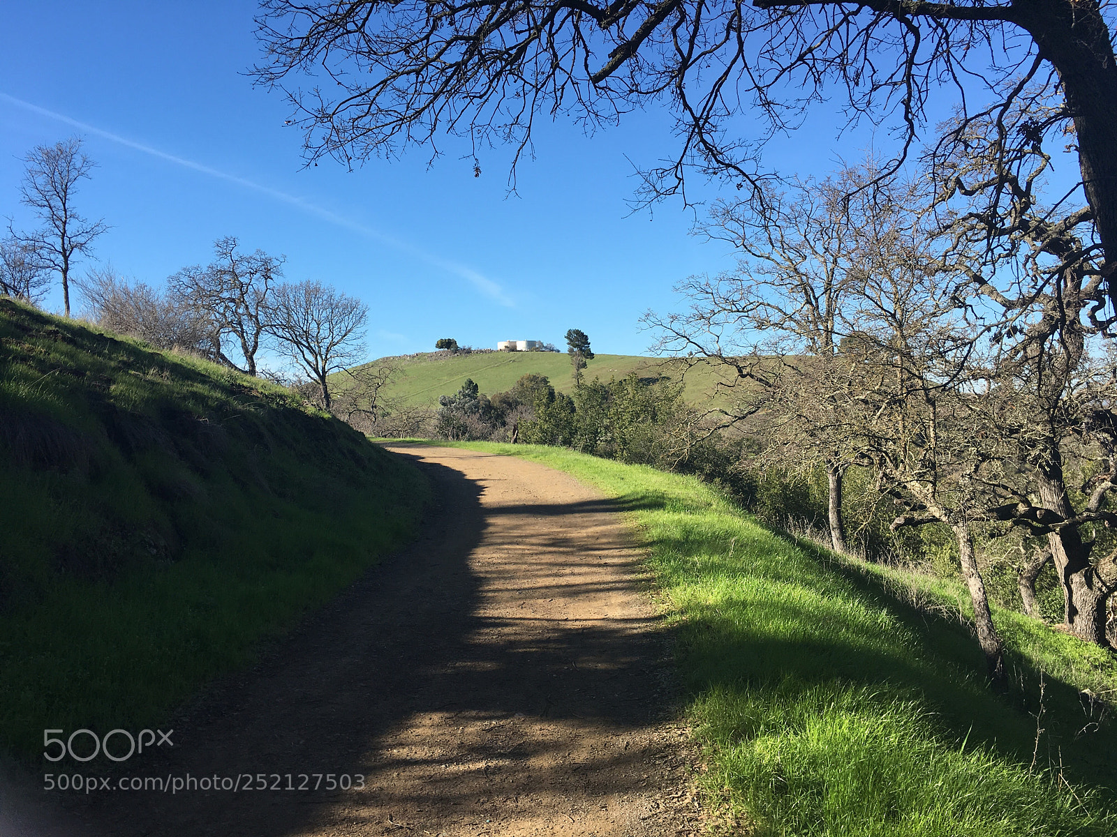 Apple iPhone 6s Plus sample photo. Hidden springs trail photography