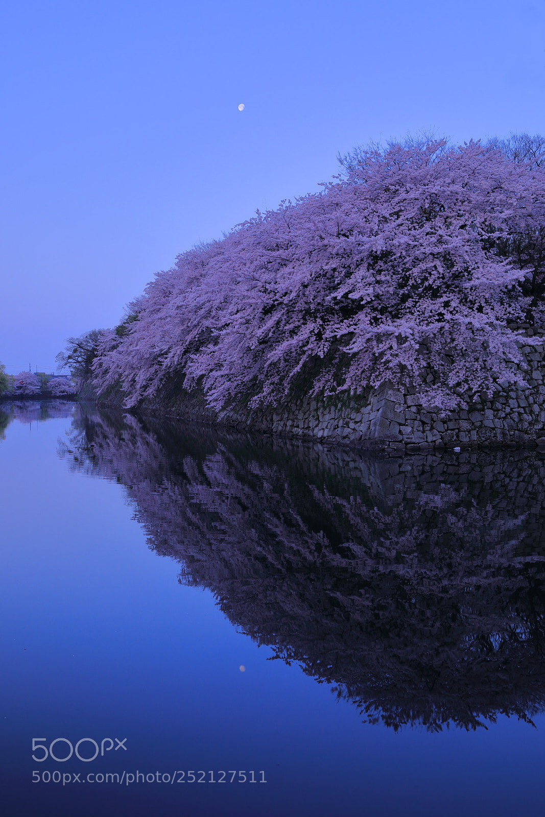 Canon EF 24-70mm F2.8L II USM sample photo. Yoake photography