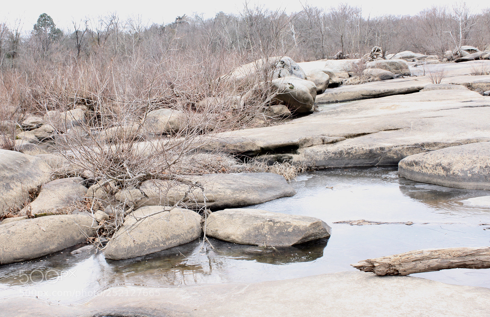 Canon EOS 500D (EOS Rebel T1i / EOS Kiss X3) sample photo. Frozen scape photography