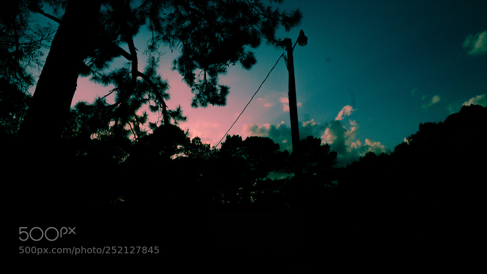 Sony a6000 sample photo. Dsc07627-2.jpg photography