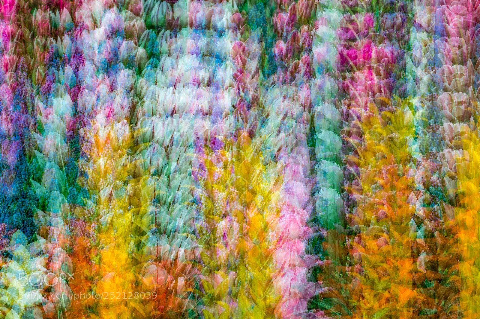 Canon EOS 7D Mark II sample photo. Spring flowers abstract photography