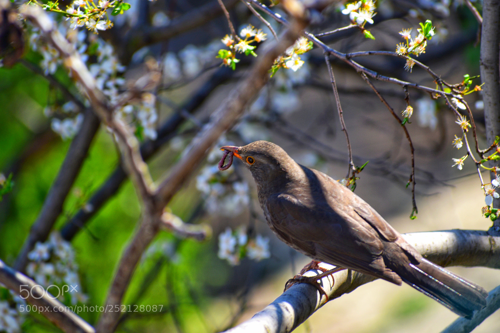 Nikon D5300 sample photo. Untitled photography