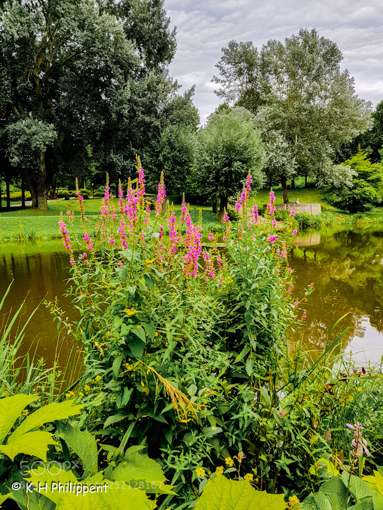 Samsung Galaxy S8 sample photo. Vellmar germany , ahnepark photography