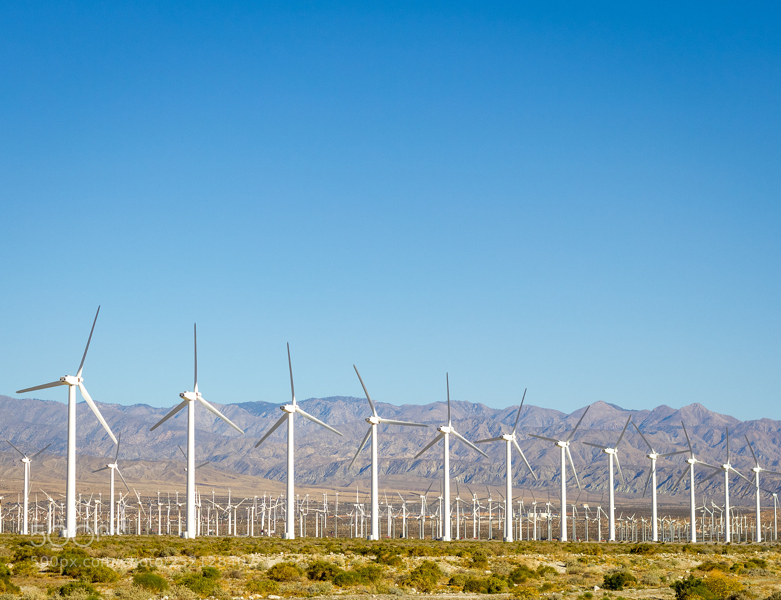 Canon EOS 550D (EOS Rebel T2i / EOS Kiss X4) sample photo. Row of wind turbines photography