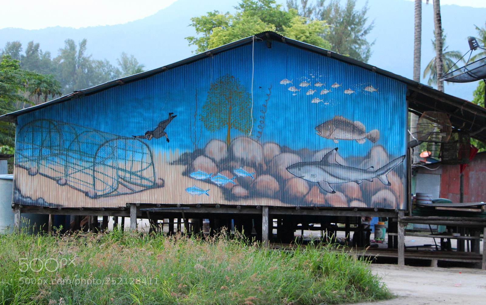 Canon EOS 650D (EOS Rebel T4i / EOS Kiss X6i) sample photo. House art fishing photography