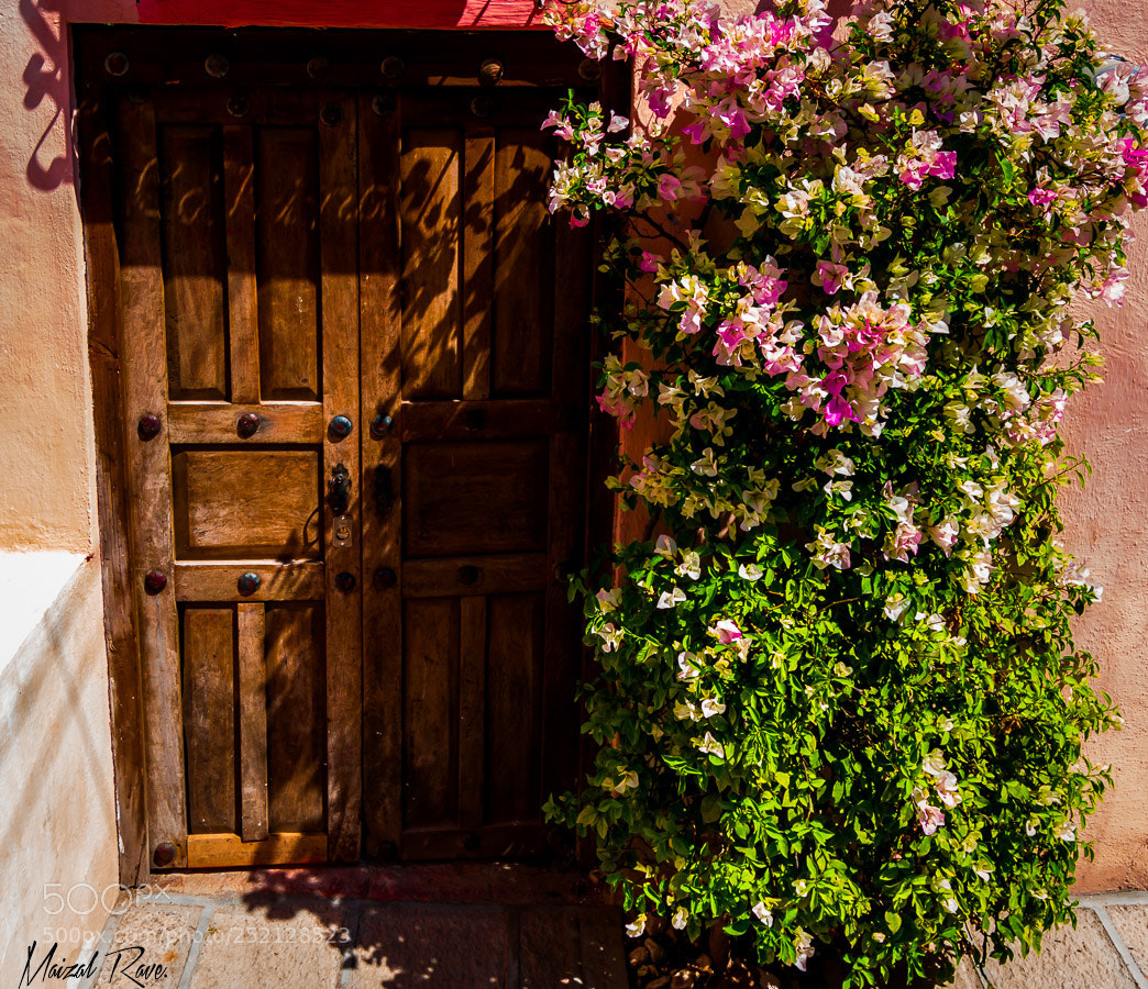 Nikon D3400 sample photo. Puerta floral. photography