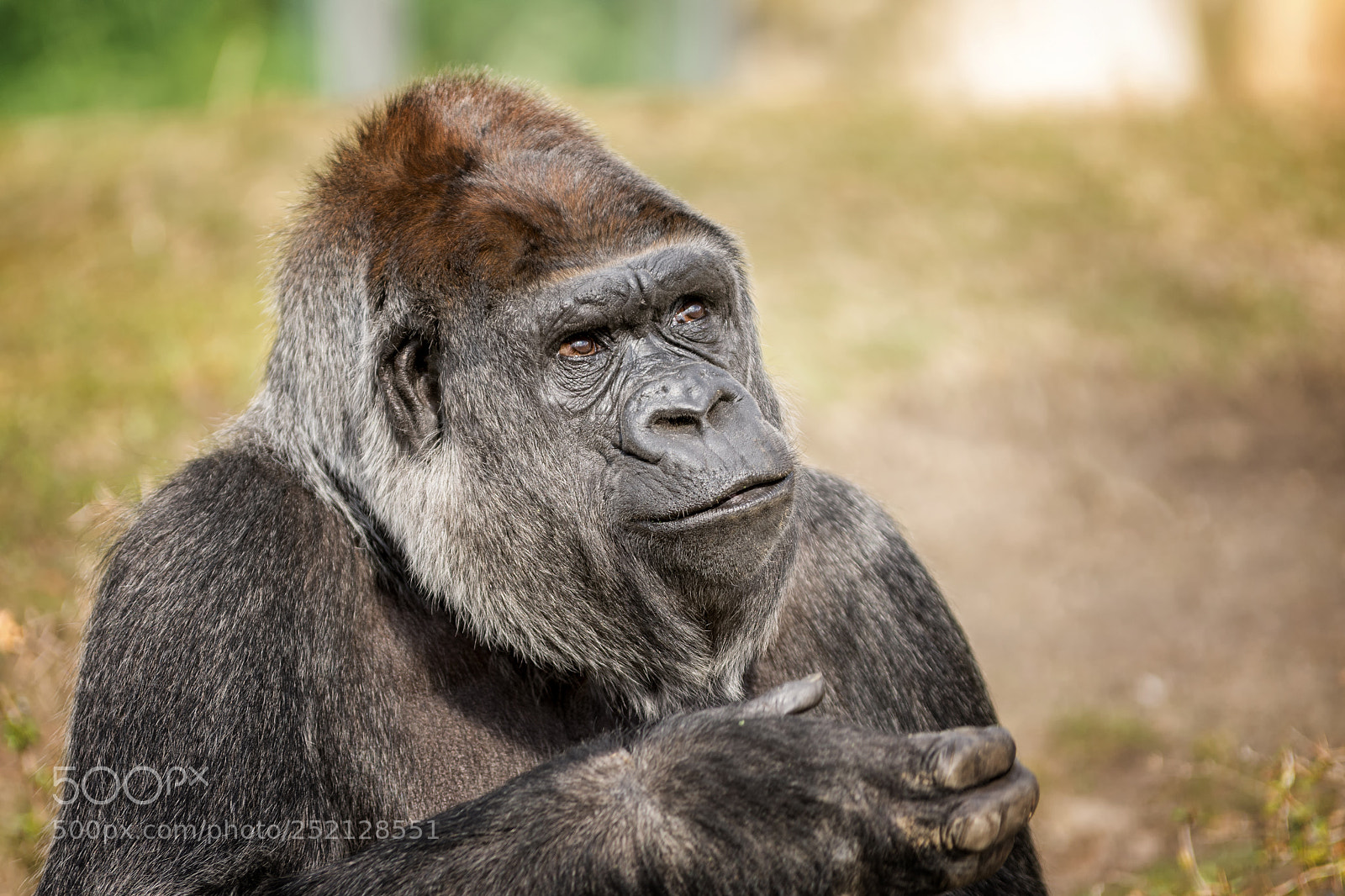 Nikon D7200 sample photo. Vom leben gezeichnet photography