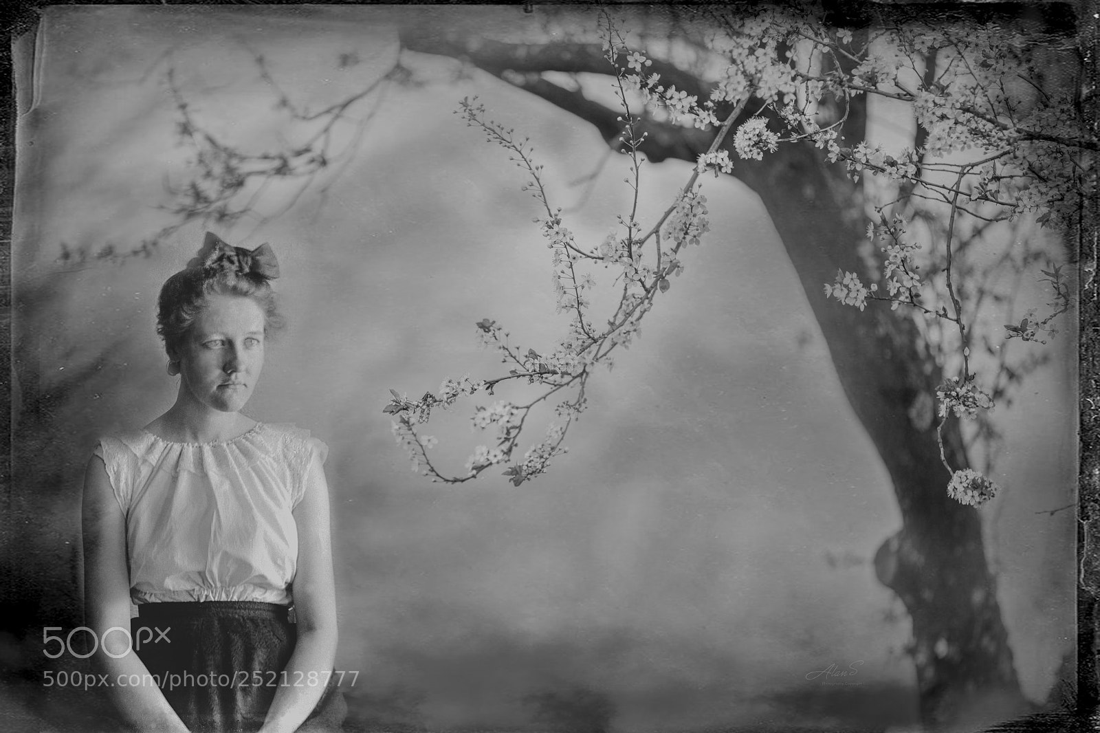 Canon EOS 5DS R sample photo. Cherry and vintage from photography