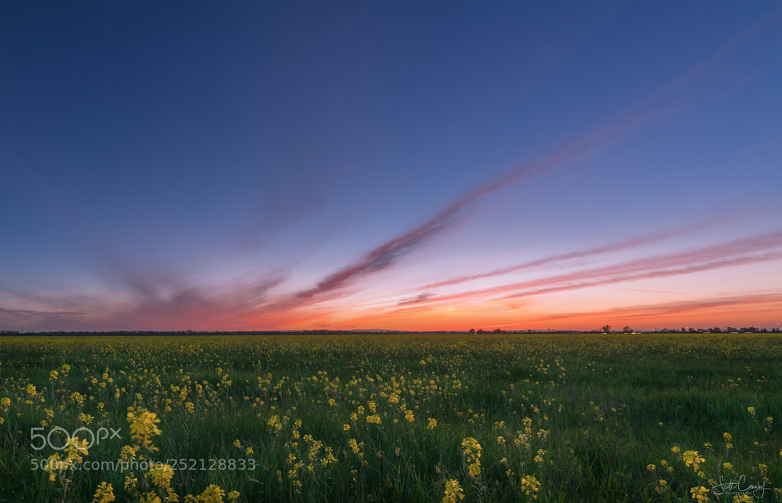 Canon EOS 5D Mark IV sample photo. Sacramento airport fields sunset photography