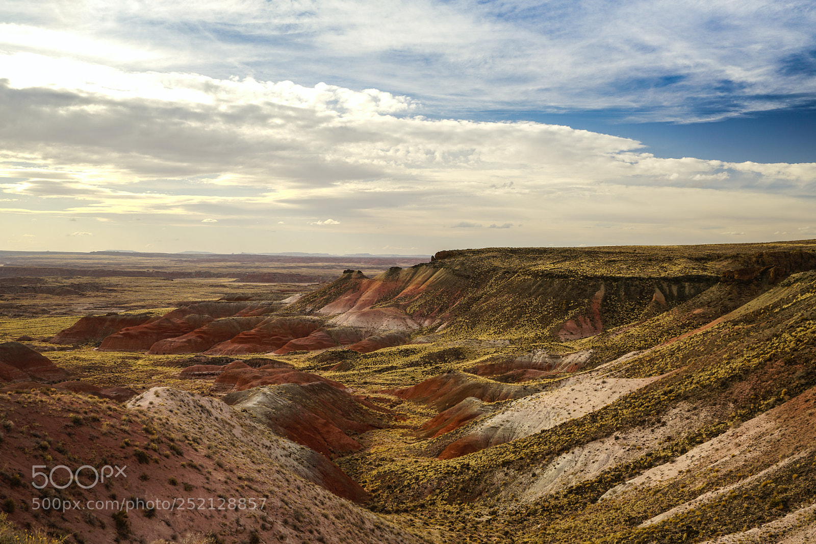 Sony a7R II sample photo. Painted desert - petrified photography