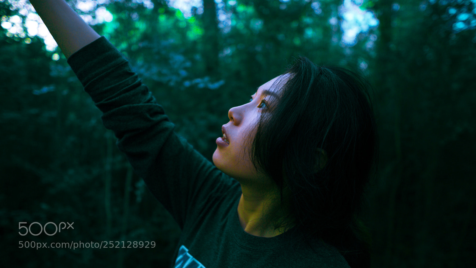 Sony a6000 sample photo. Dsc07683-3.jpg photography