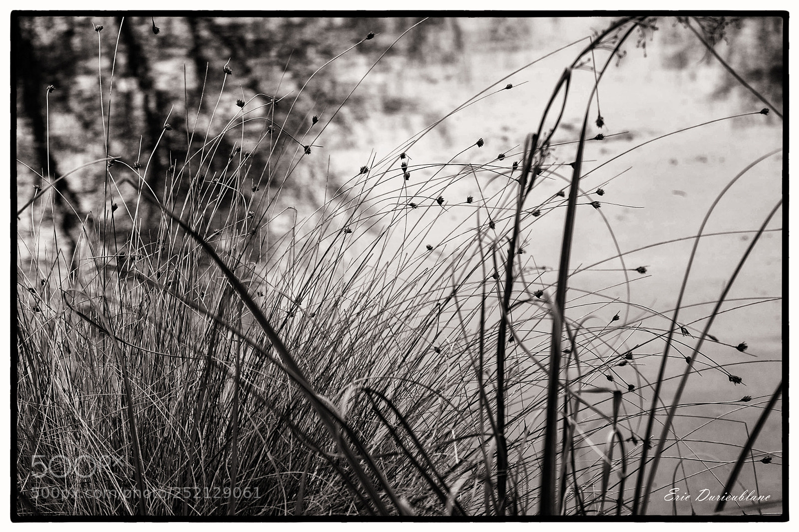 Canon EOS-1D Mark II sample photo. Untitled photography