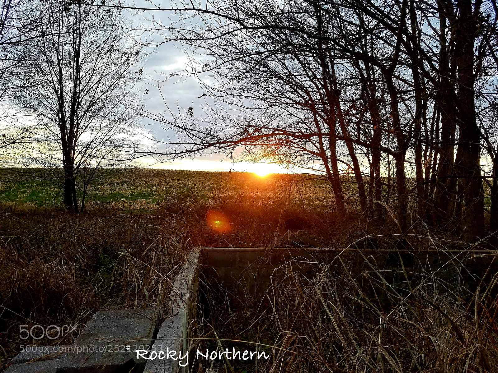 Samsung Galaxy S7 Edge sample photo. Untitled photography