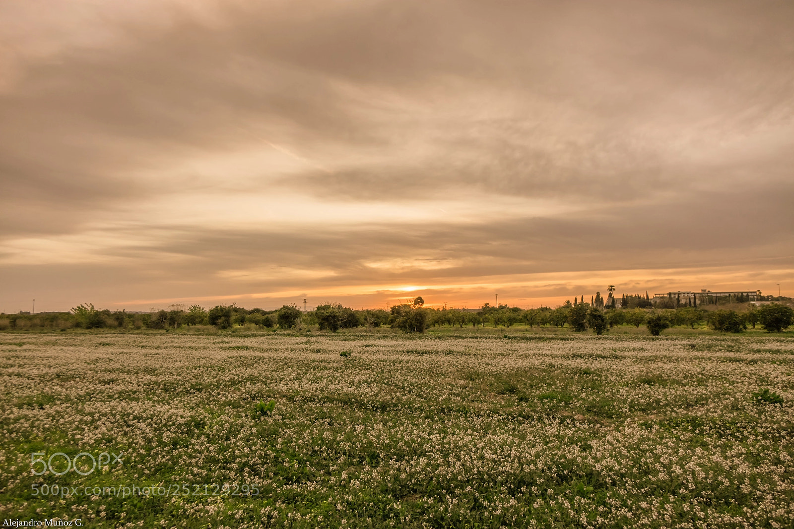 Sony Cyber-shot DSC-RX10 sample photo. Atardecer photography