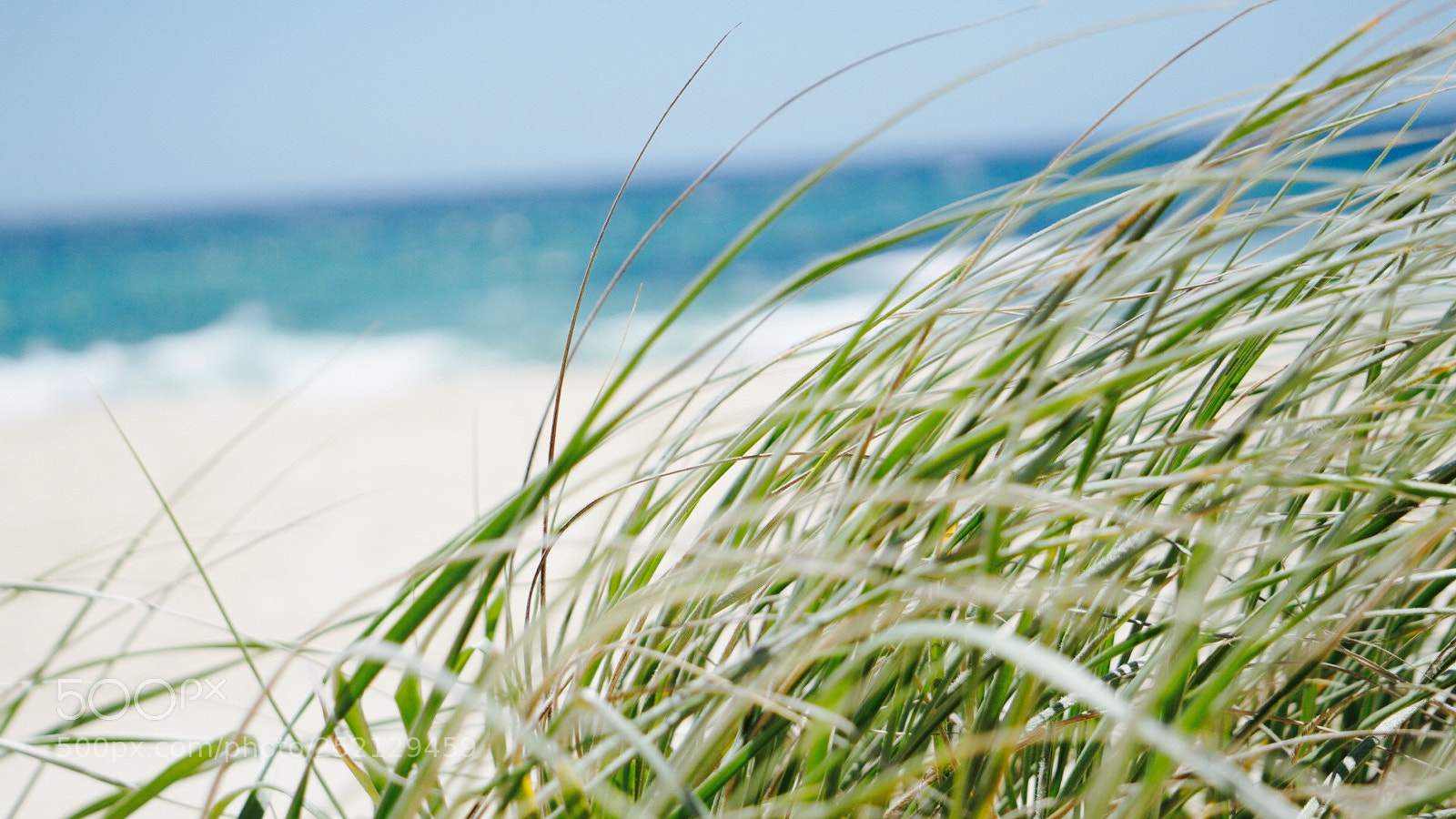 Sony Alpha a5000 (ILCE 5000) sample photo. Shoreline. photography