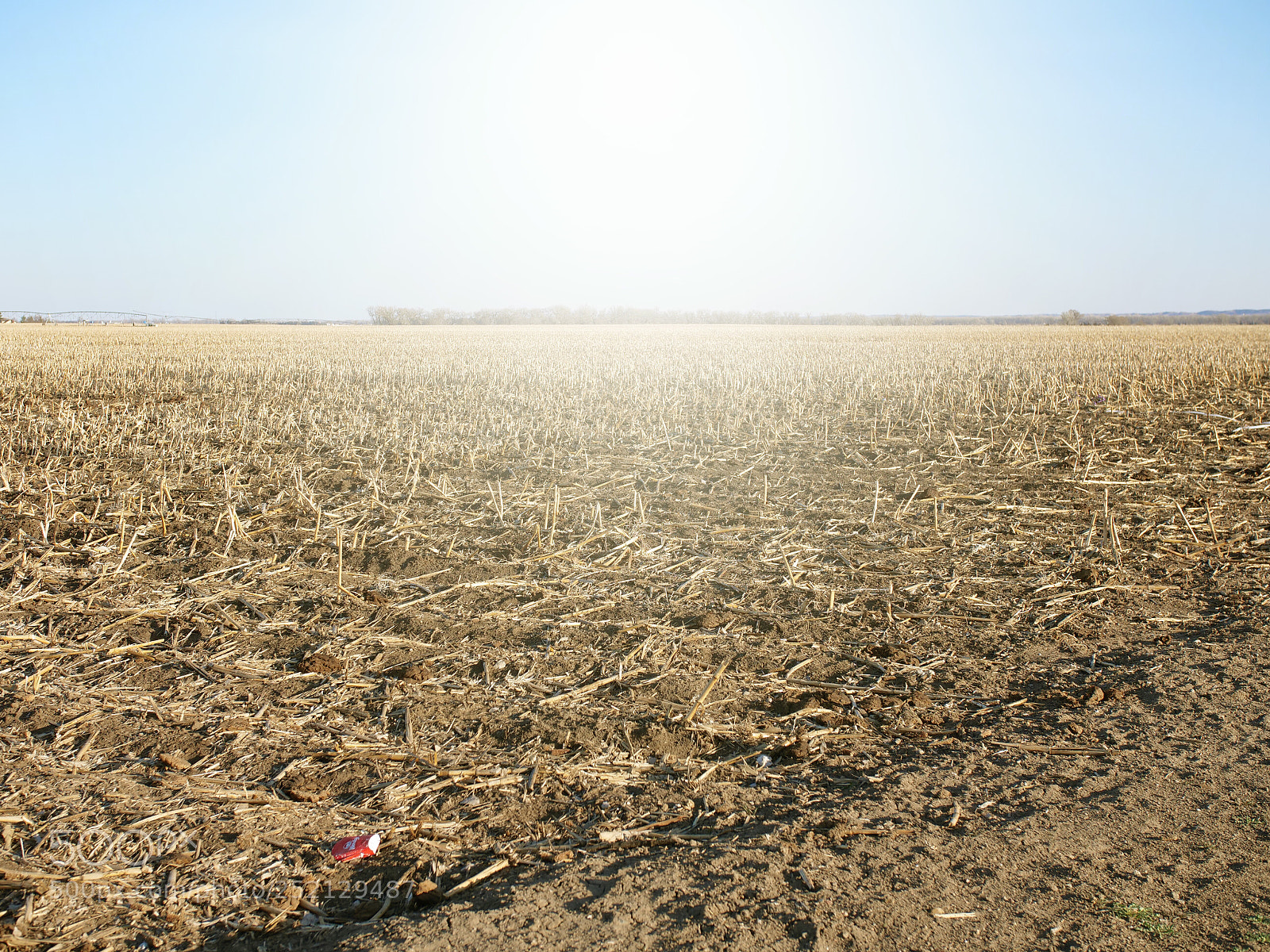 Panasonic Lumix DC-GH5 sample photo. Fields of sun photography