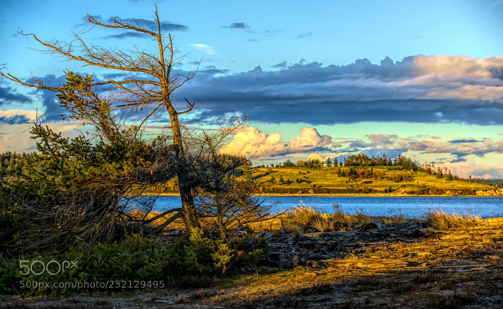 Nikon D810 sample photo. Island view beach photography