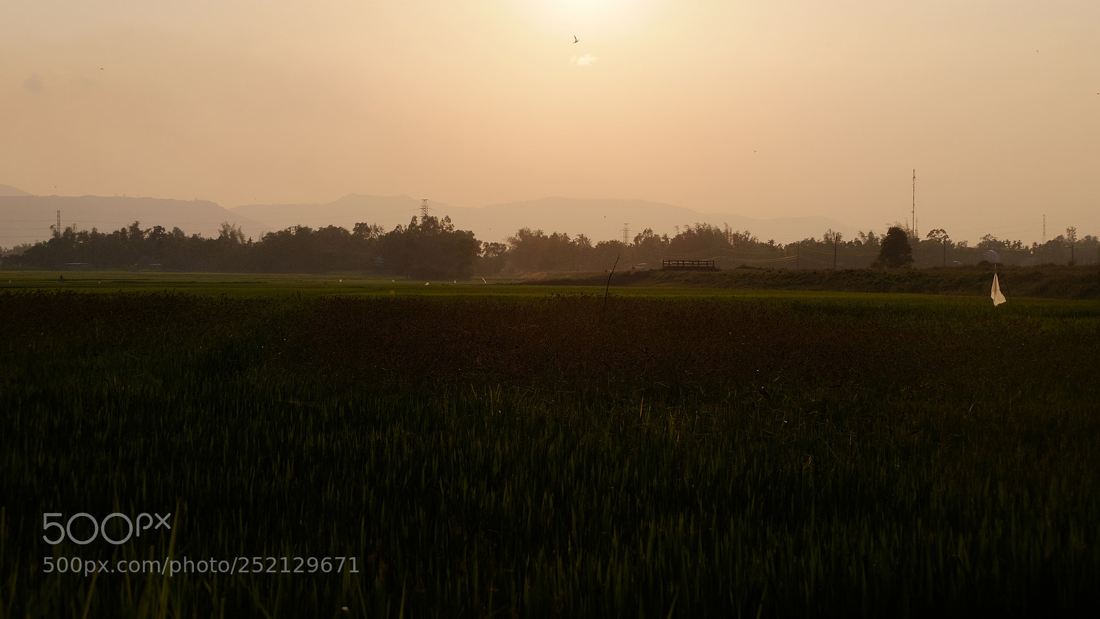 Fujifilm X-T1 sample photo. Untitled photography