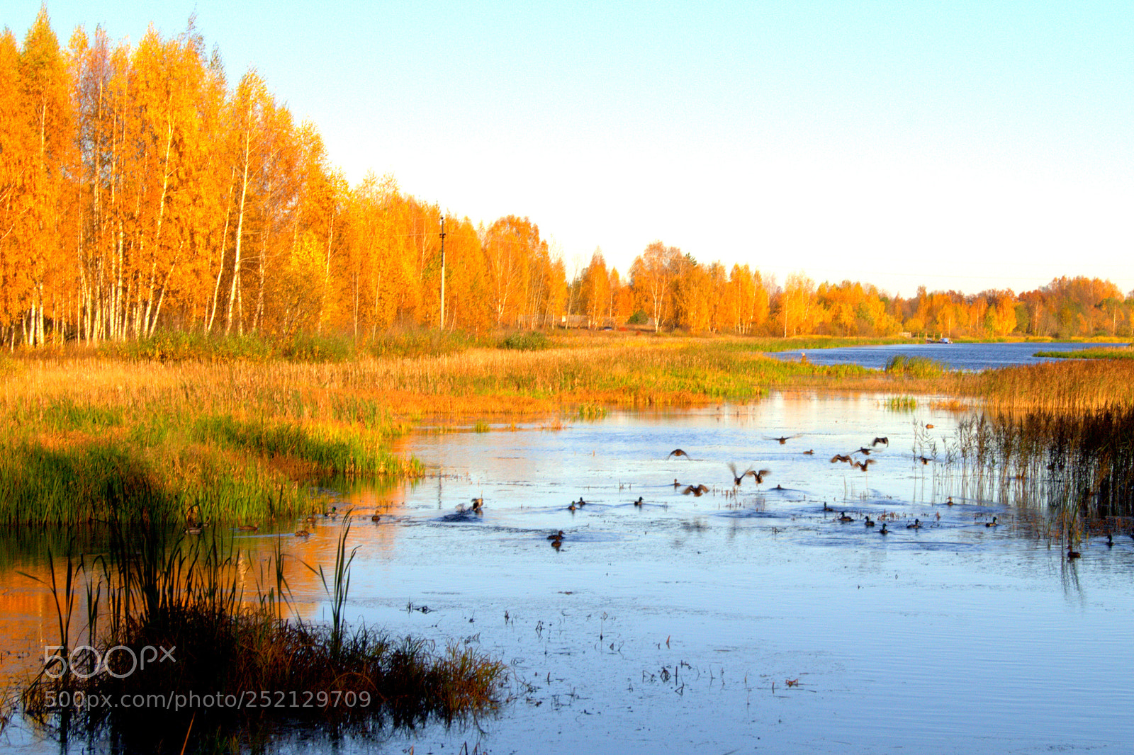 Sony SLT-A37 sample photo. осень photography
