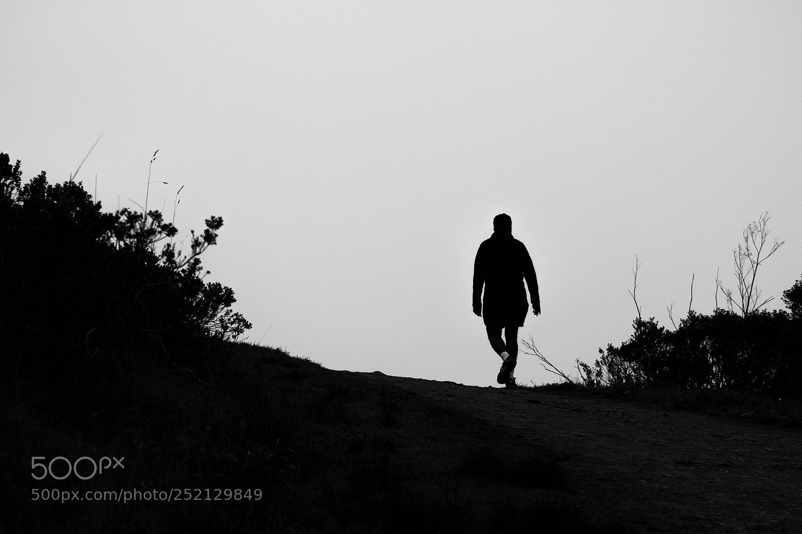 Canon EOS 1100D (EOS Rebel T3 / EOS Kiss X50) sample photo. A lonely road photography