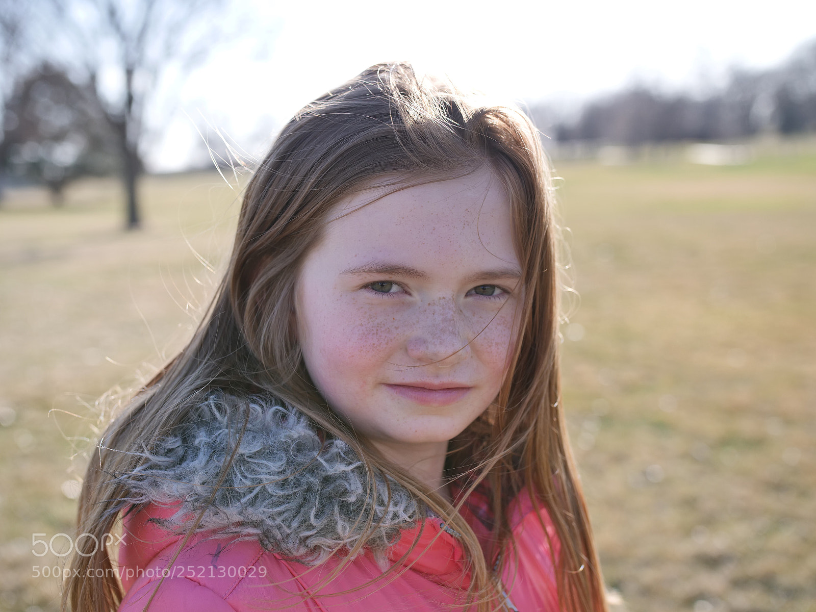 Panasonic Lumix DC-GH5 sample photo. Addy in sun photography