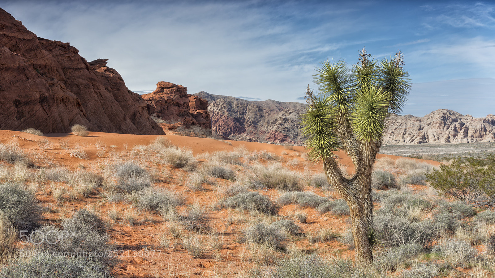 Nikon D800 sample photo. Gold butte national monument photography