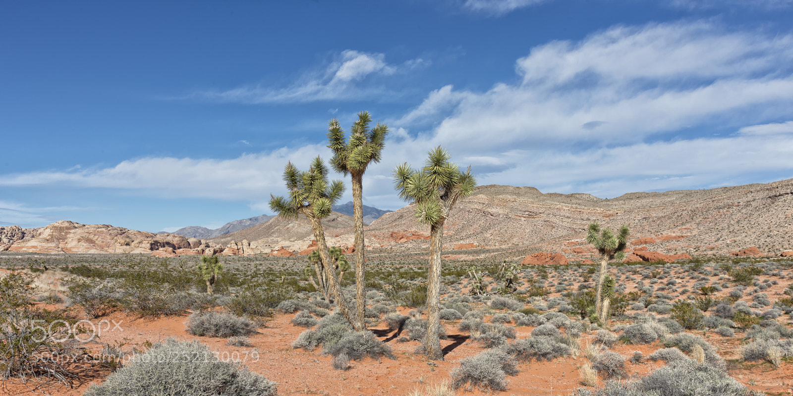 Nikon D800 sample photo. Gold butte national monument photography