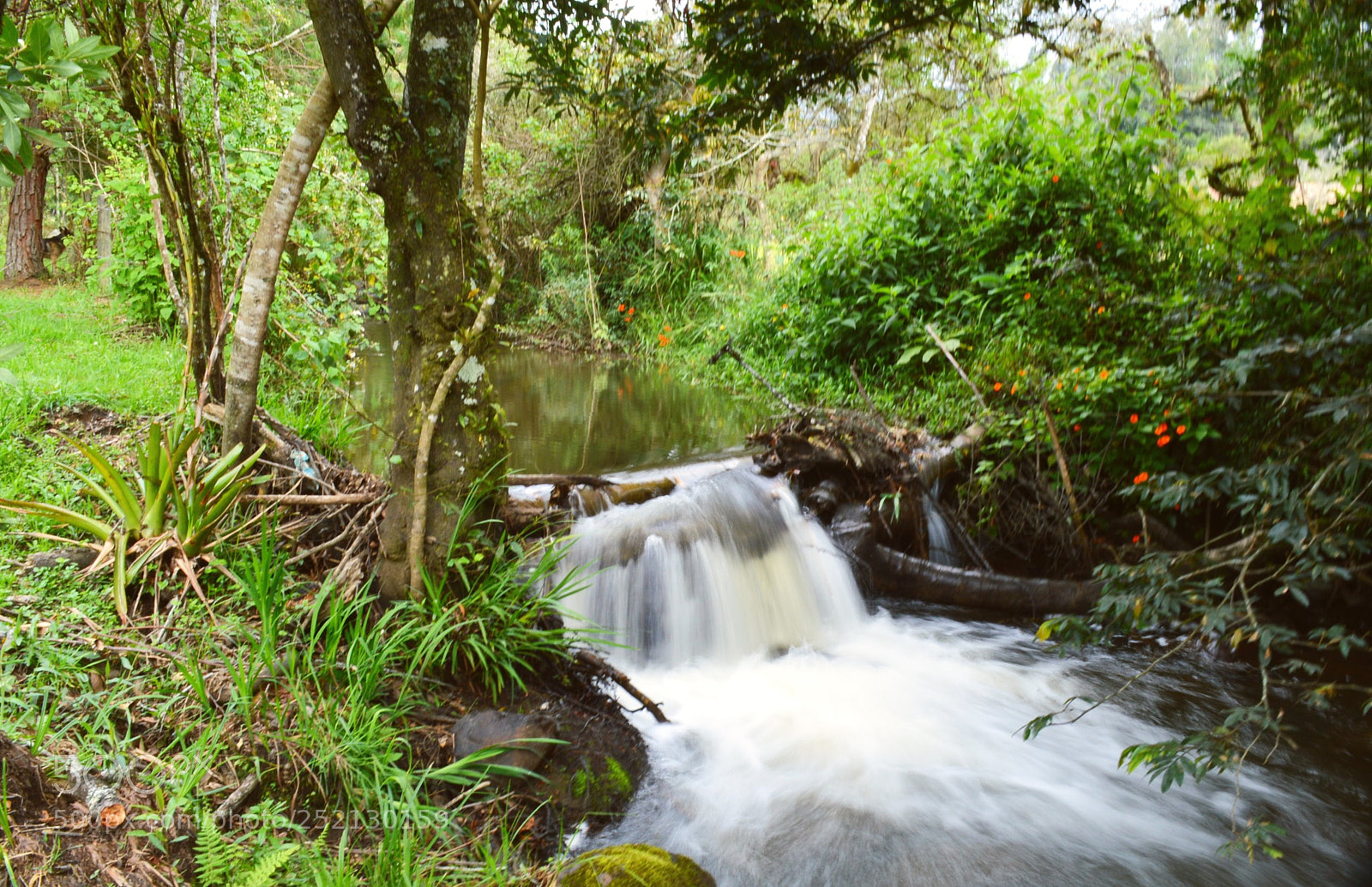 Nikon D3200 sample photo. Pequeño rio crecido photography