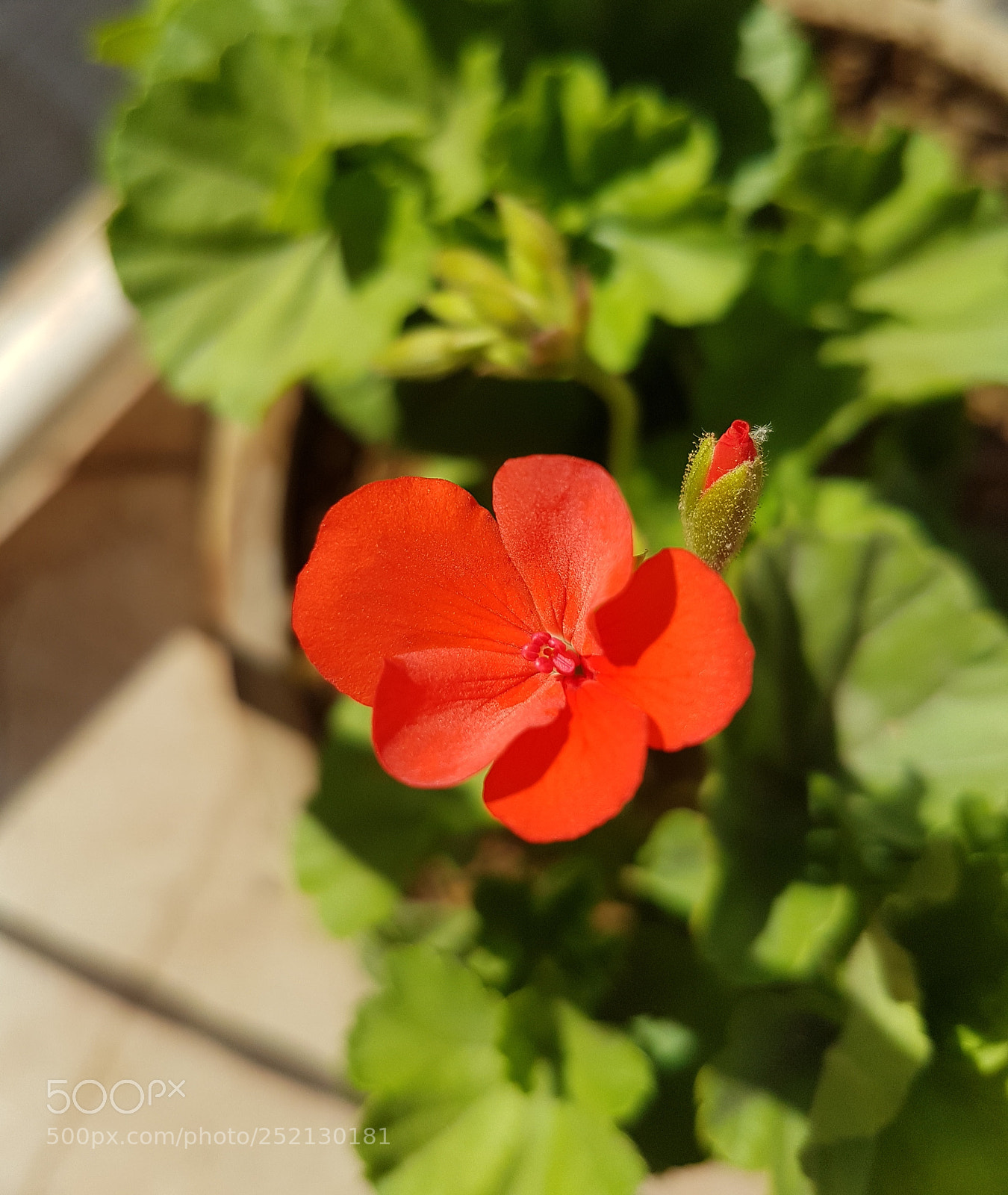 Samsung Galaxy S7 sample photo. Untitled photography