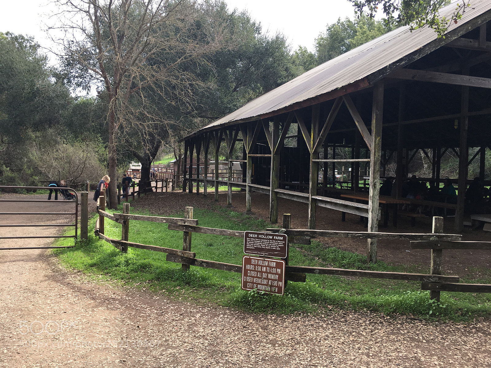 Apple iPhone 6s Plus sample photo. Deer hollow farm photography