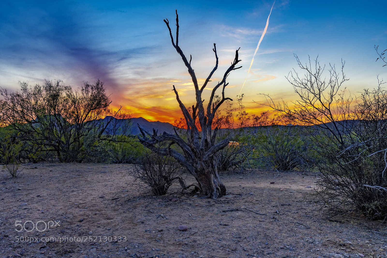 Nikon D500 sample photo. Dying light... photography