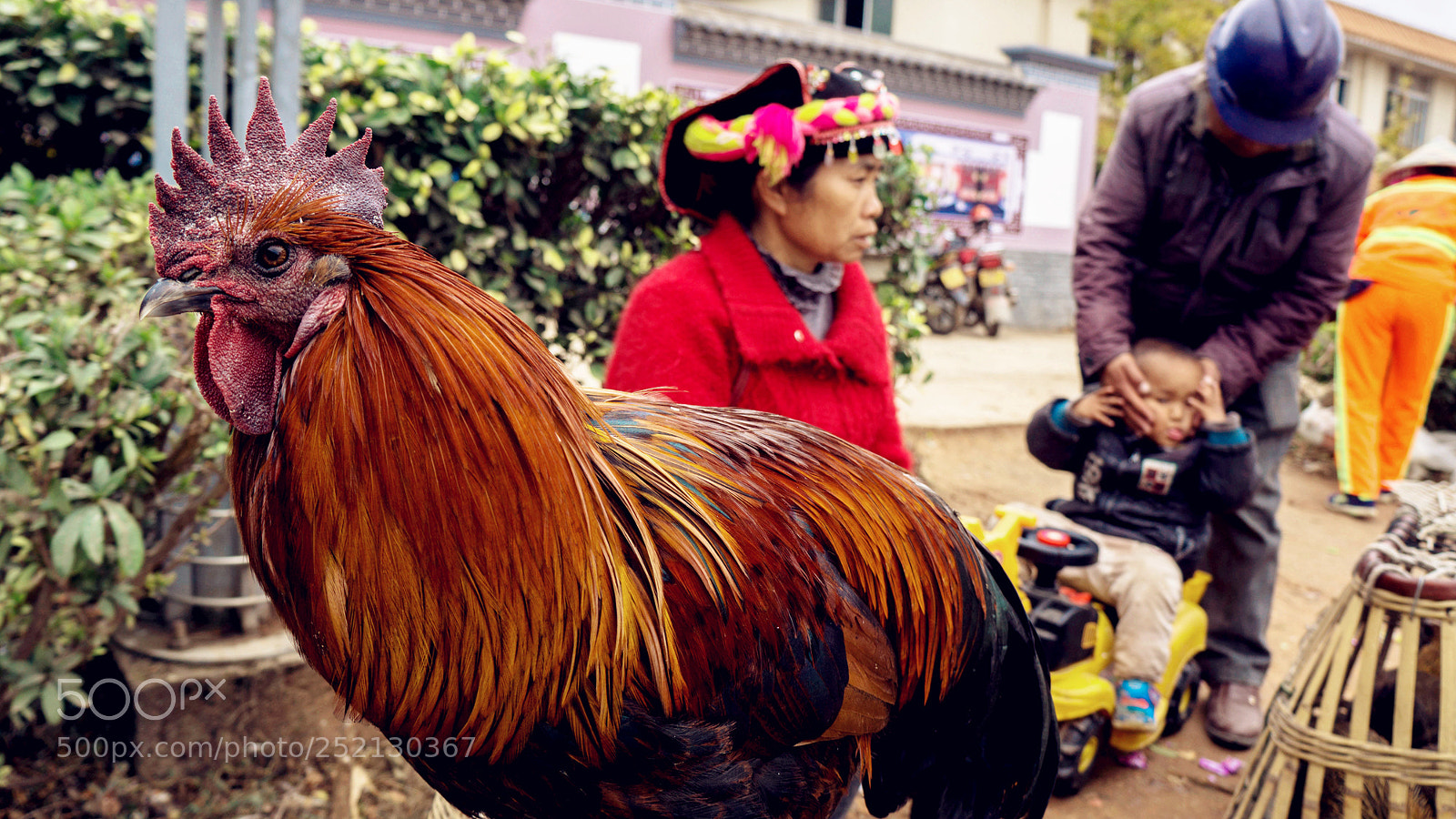 Sony a5100 sample photo. Vendor sells chicken photography