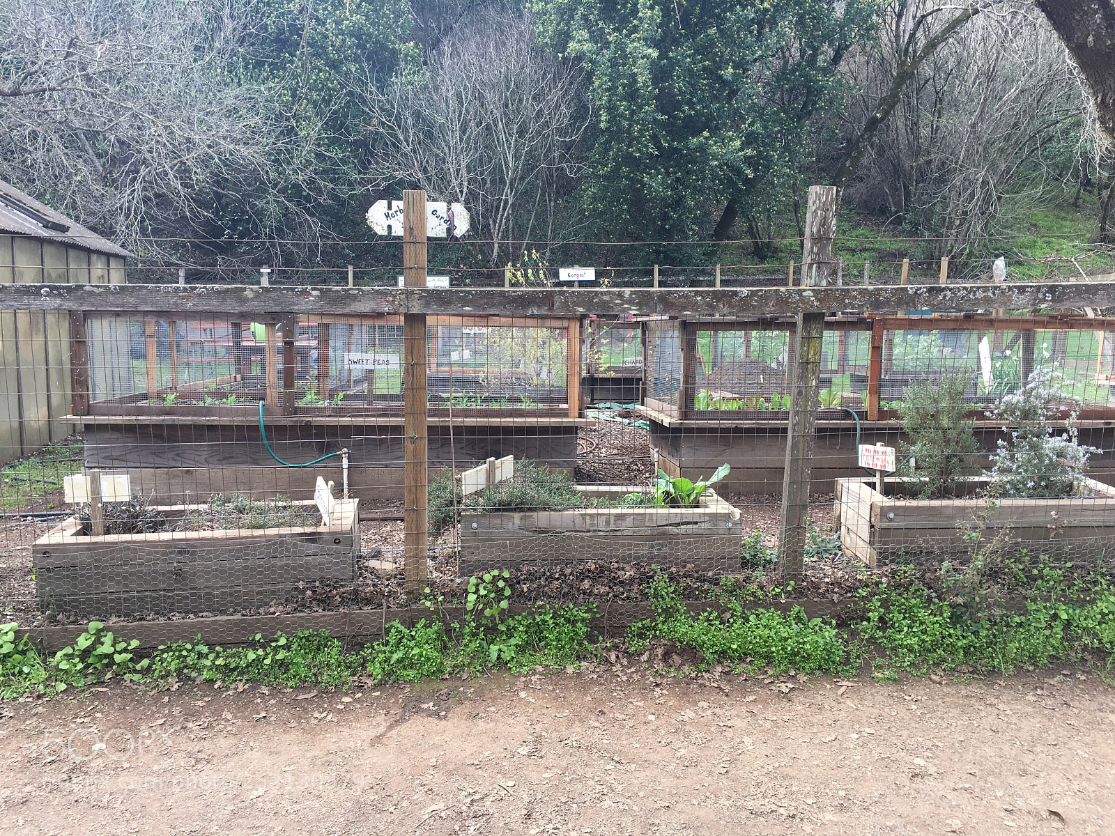 Apple iPhone 6s Plus sample photo. Deer hollow farm photography