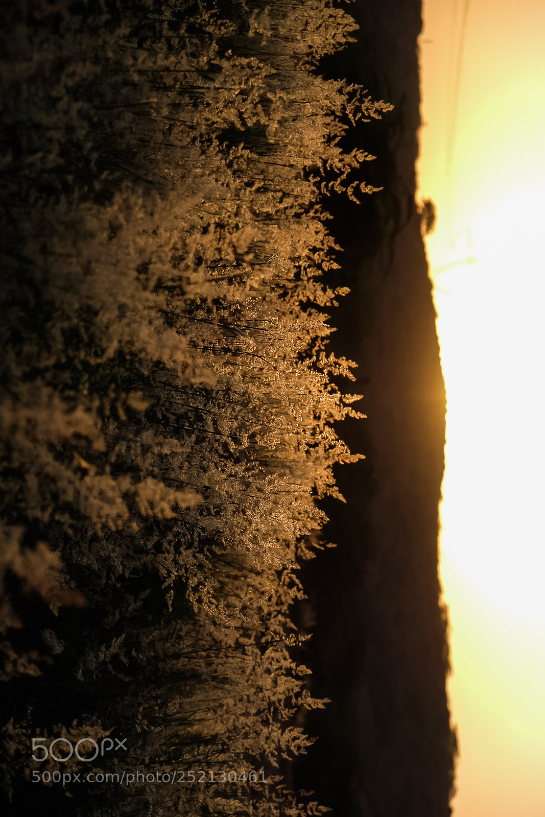 Fujifilm X-E2 sample photo. Sunset photography
