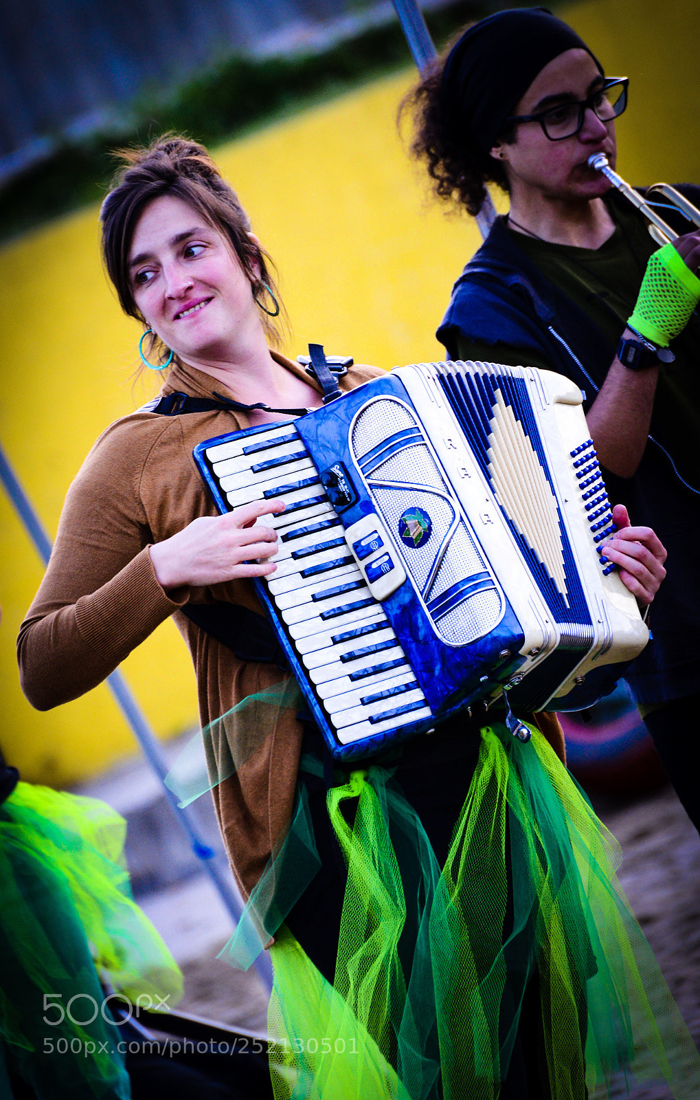 Nikon D600 sample photo. Accordion  photography