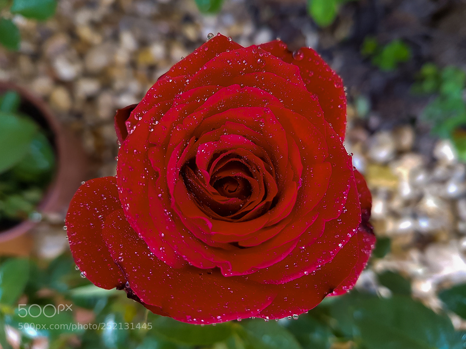 Samsung Galaxy S7 Edge sample photo. Untitled photography