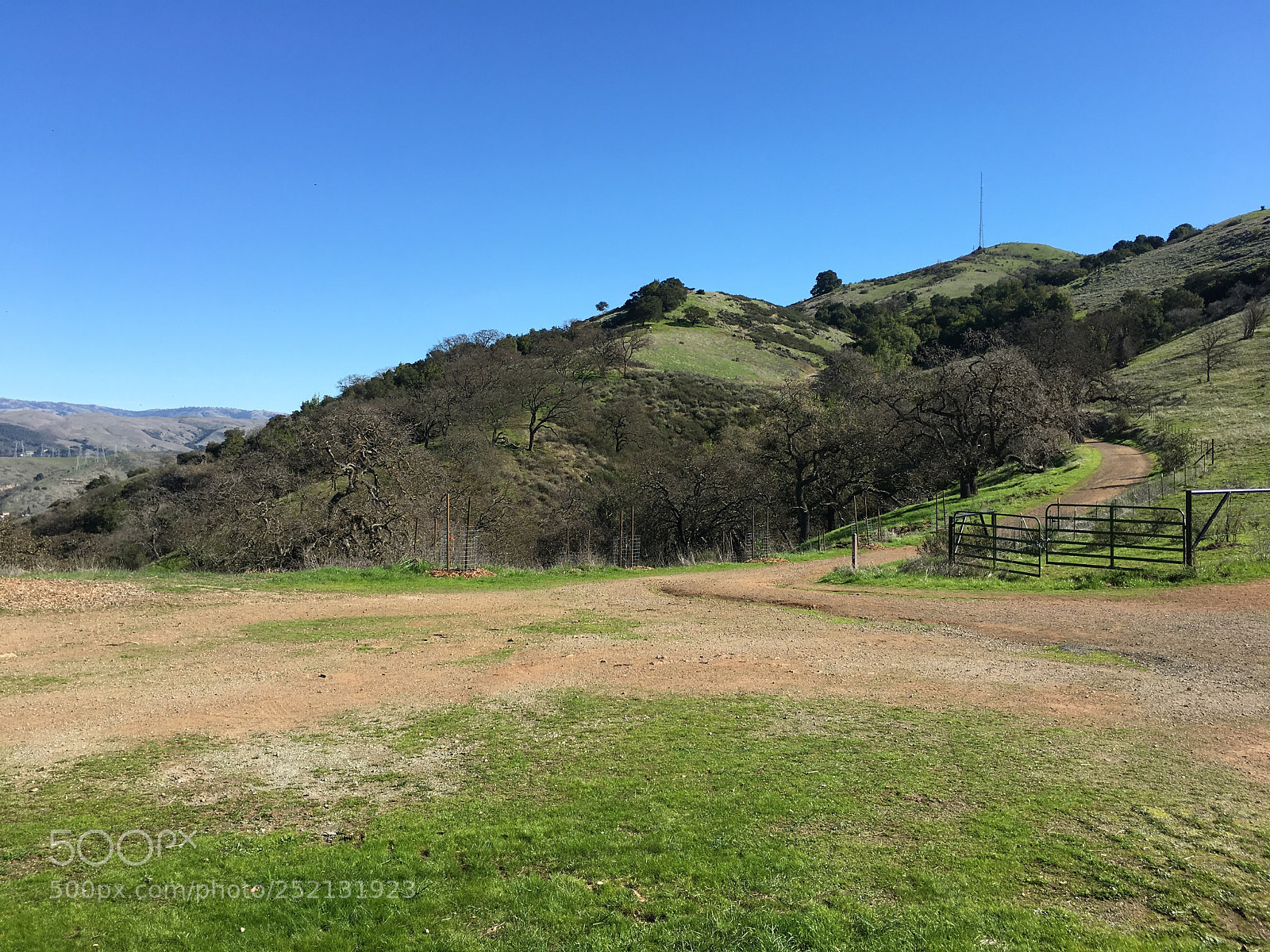 Apple iPhone 6s Plus sample photo. Hidden springs trail photography
