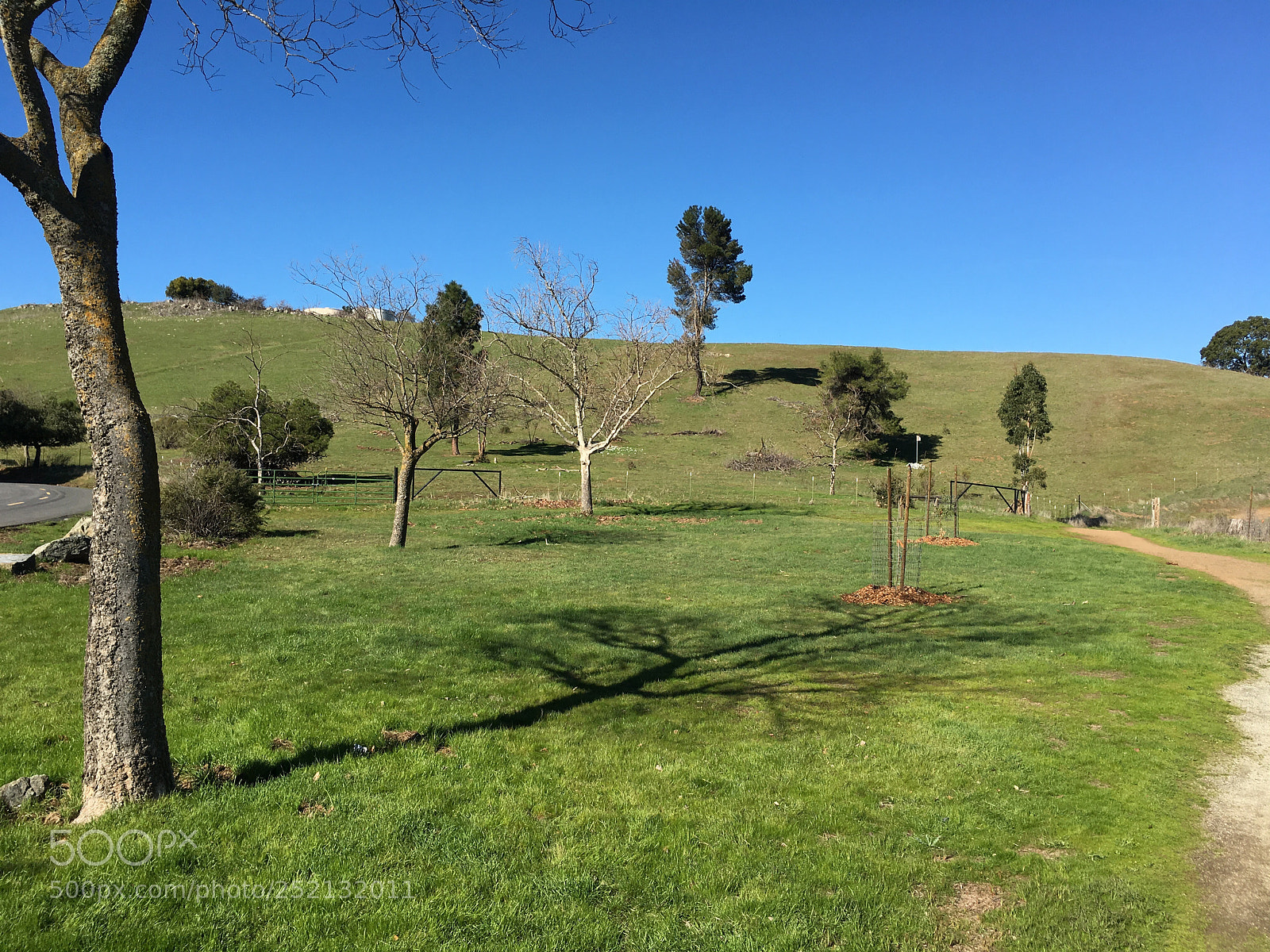 Apple iPhone 6s Plus sample photo. Hidden springs trail photography