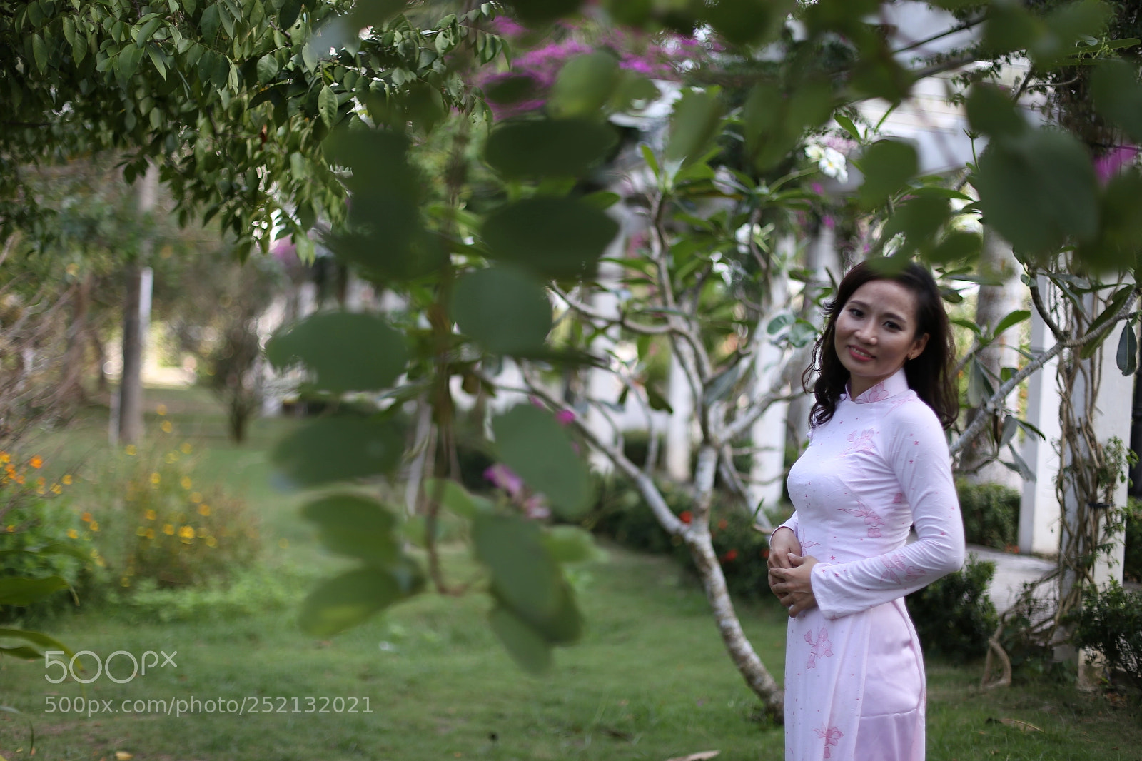 Canon EOS 6D + Canon EF 50mm F1.4 USM sample photo. Img photography