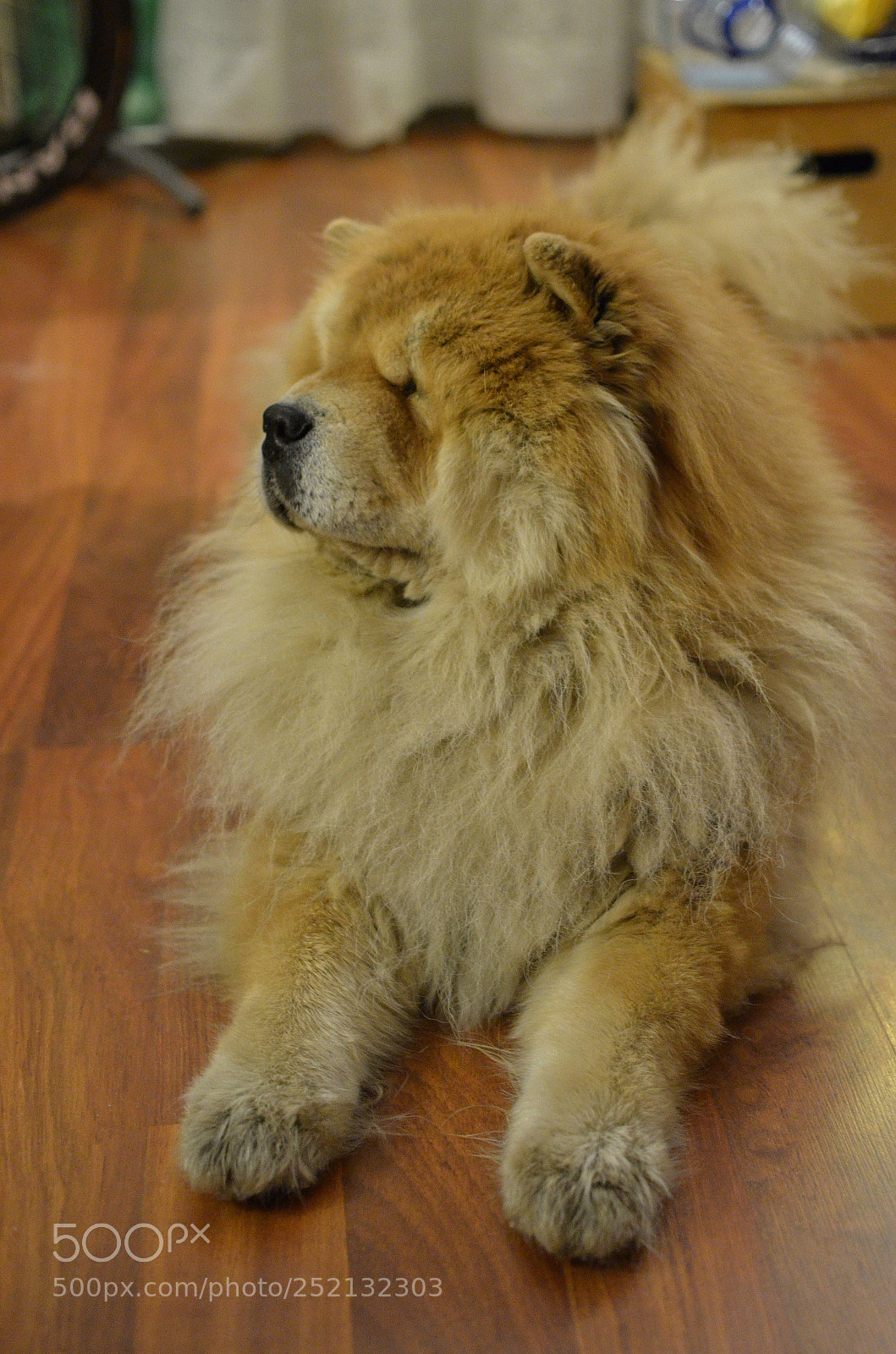 Nikon D5100 sample photo. Untitled photography