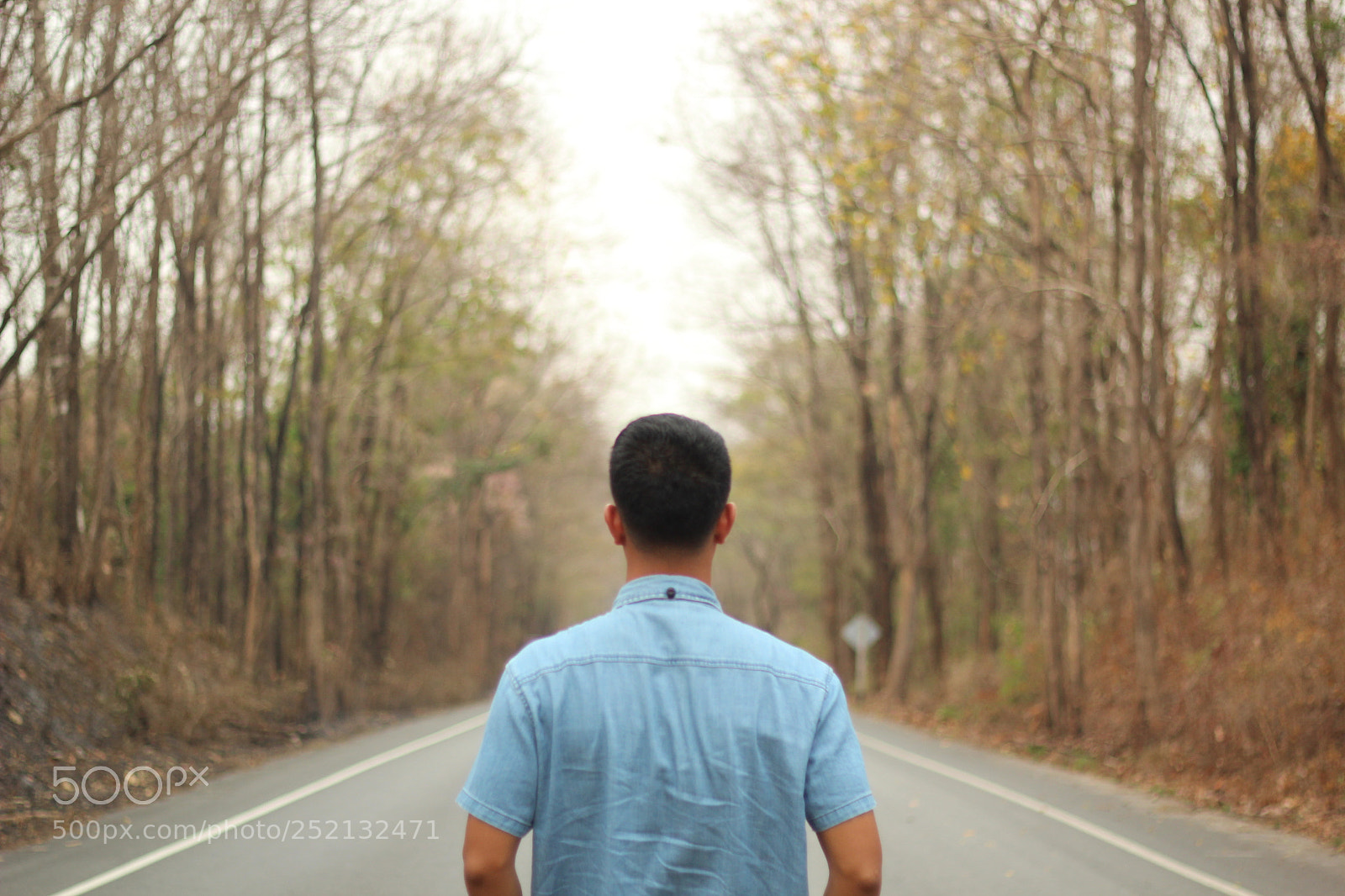 Canon EOS 600D (Rebel EOS T3i / EOS Kiss X5) + Canon EF 50mm F1.8 II sample photo. Walking to the road photography
