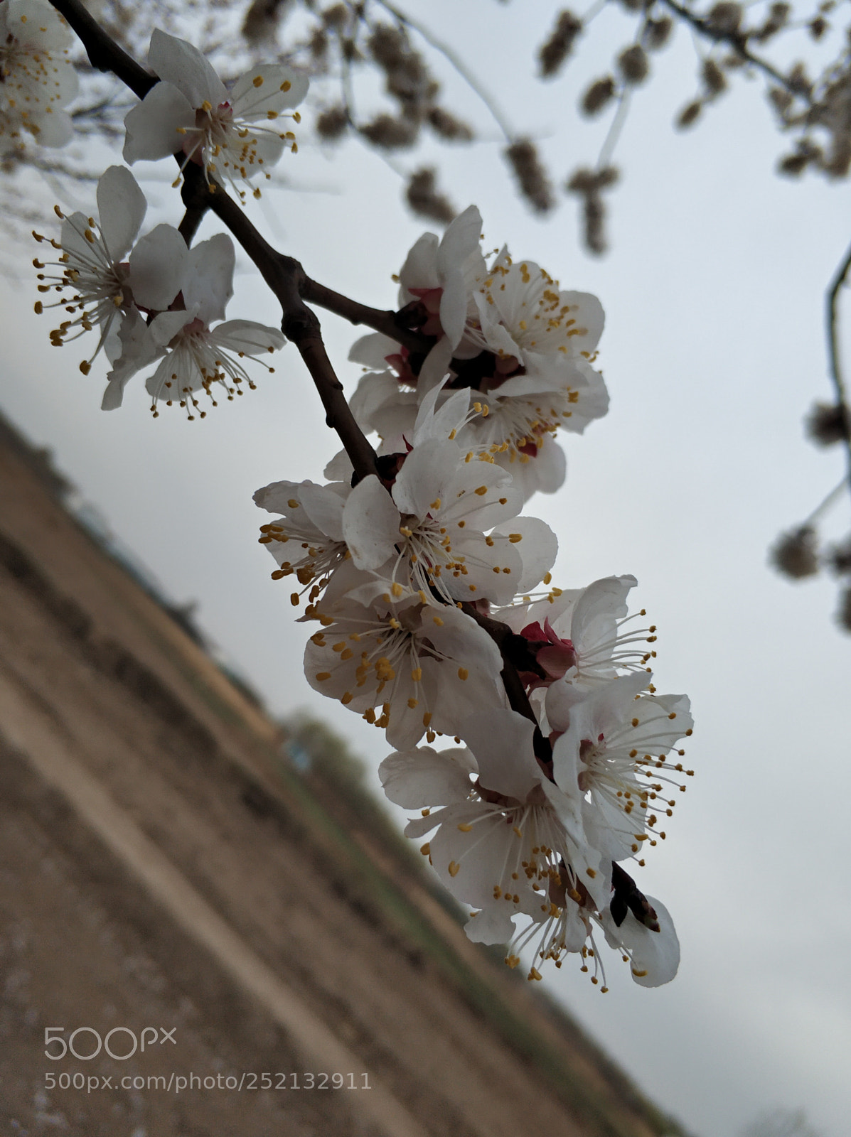 Xiaomi Mi Note 3 sample photo. Untitled photography