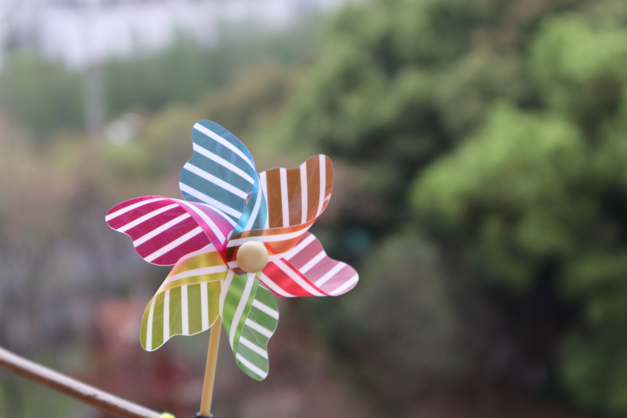 Canon EOS M6 sample photo. Childhood photography