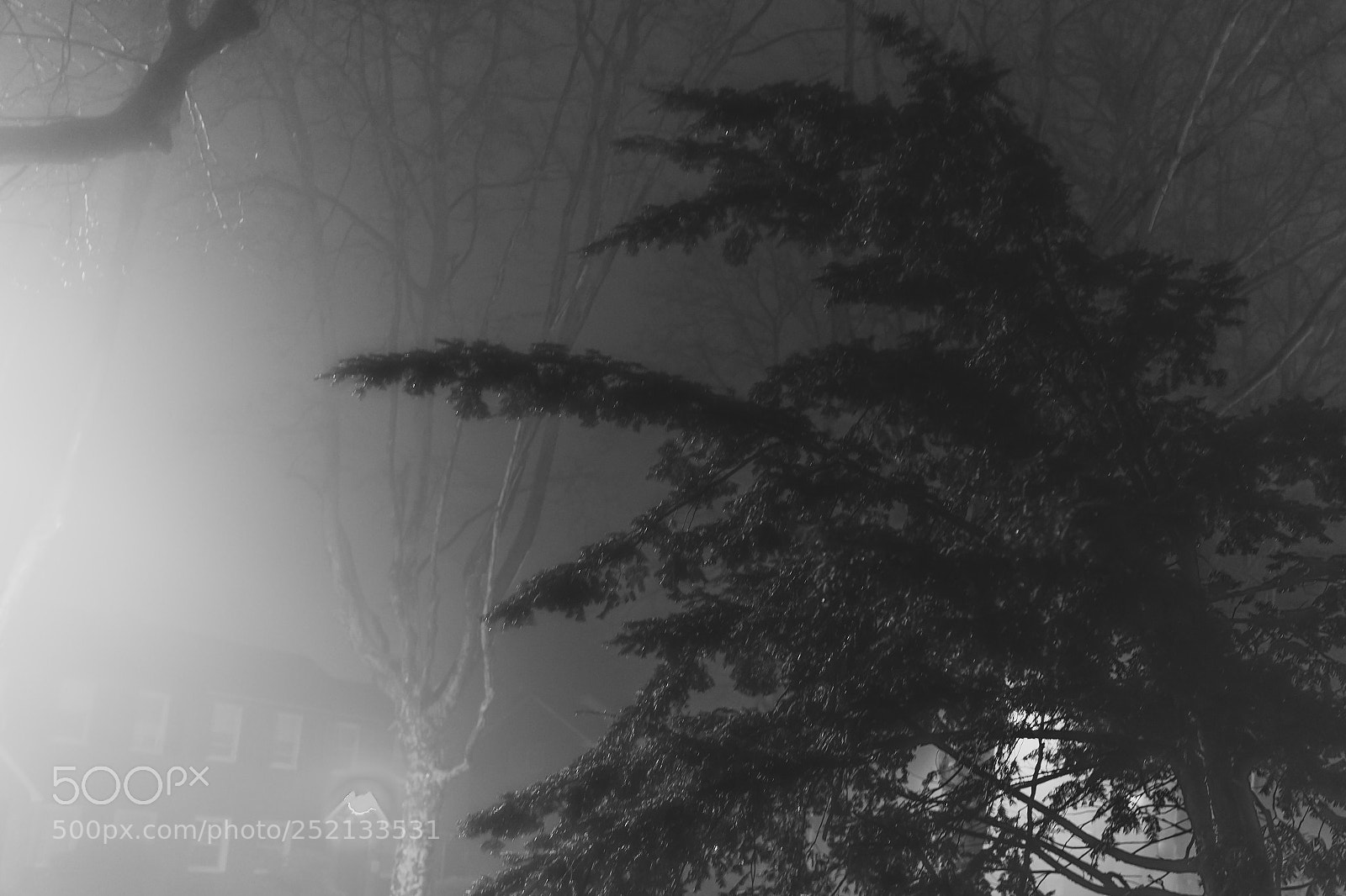 Sony a6300 sample photo. Foggy night photography