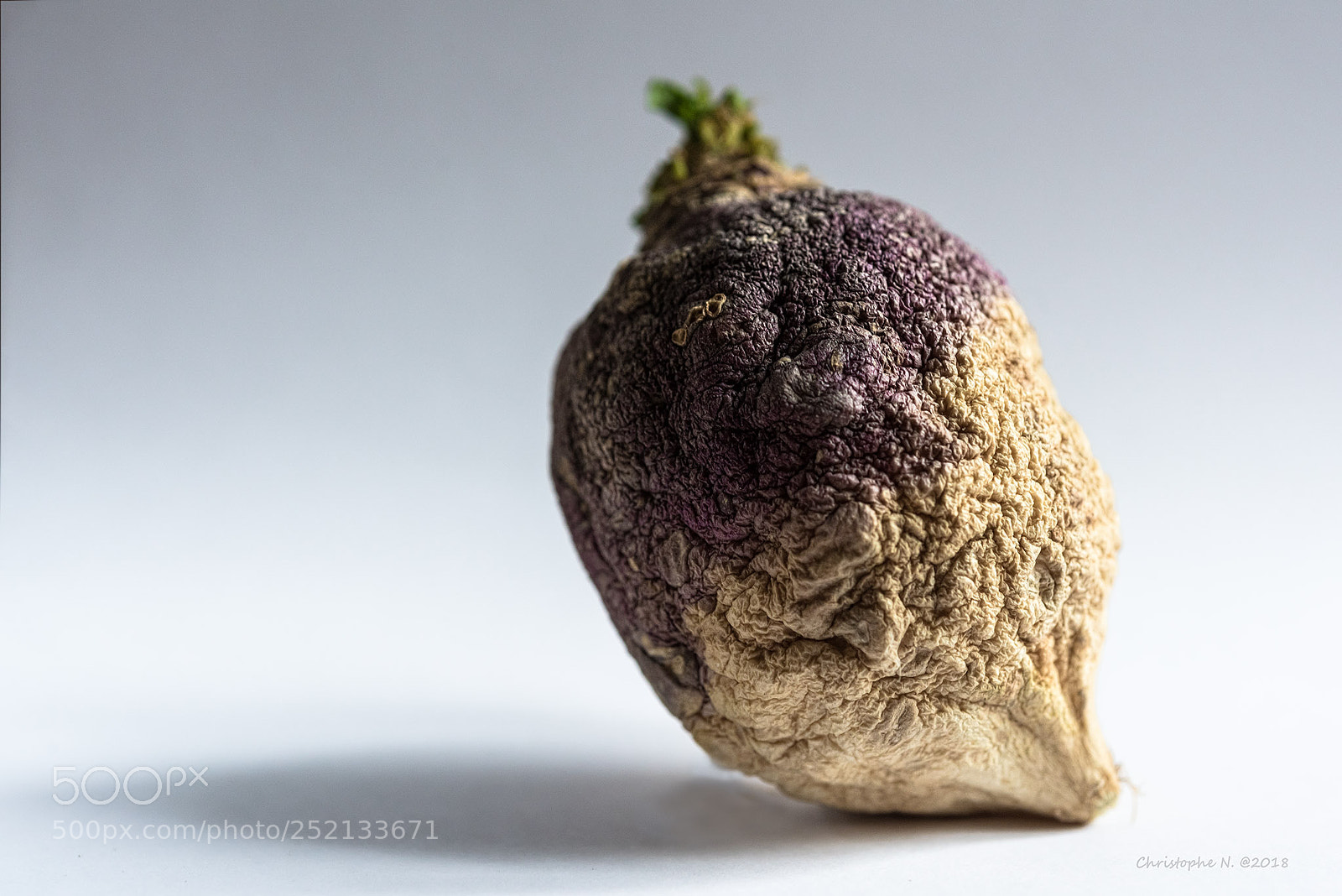 Nikon D810 sample photo. The old turnip photography