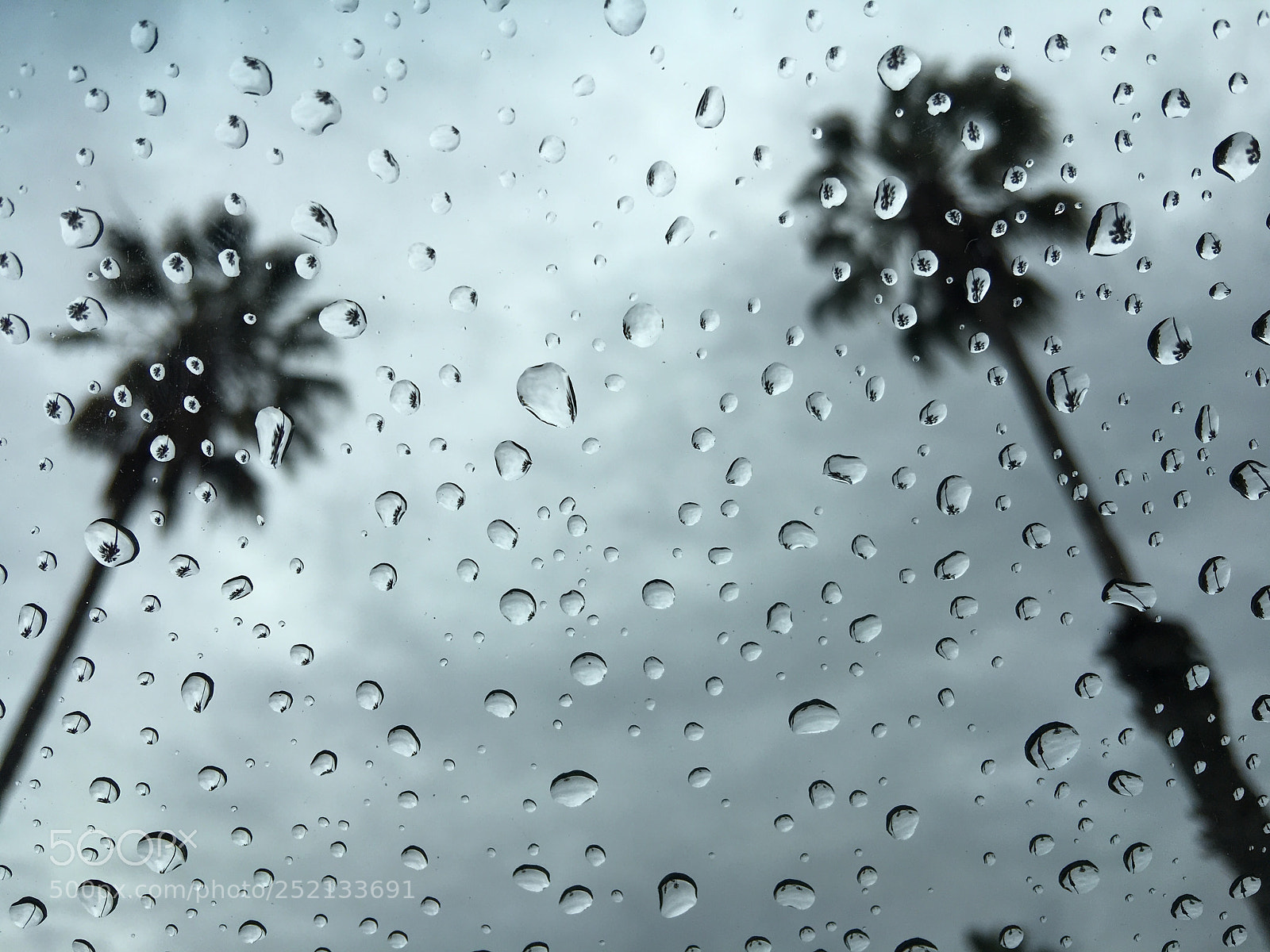 Apple iPhone 6s Plus sample photo. Raindrops photography