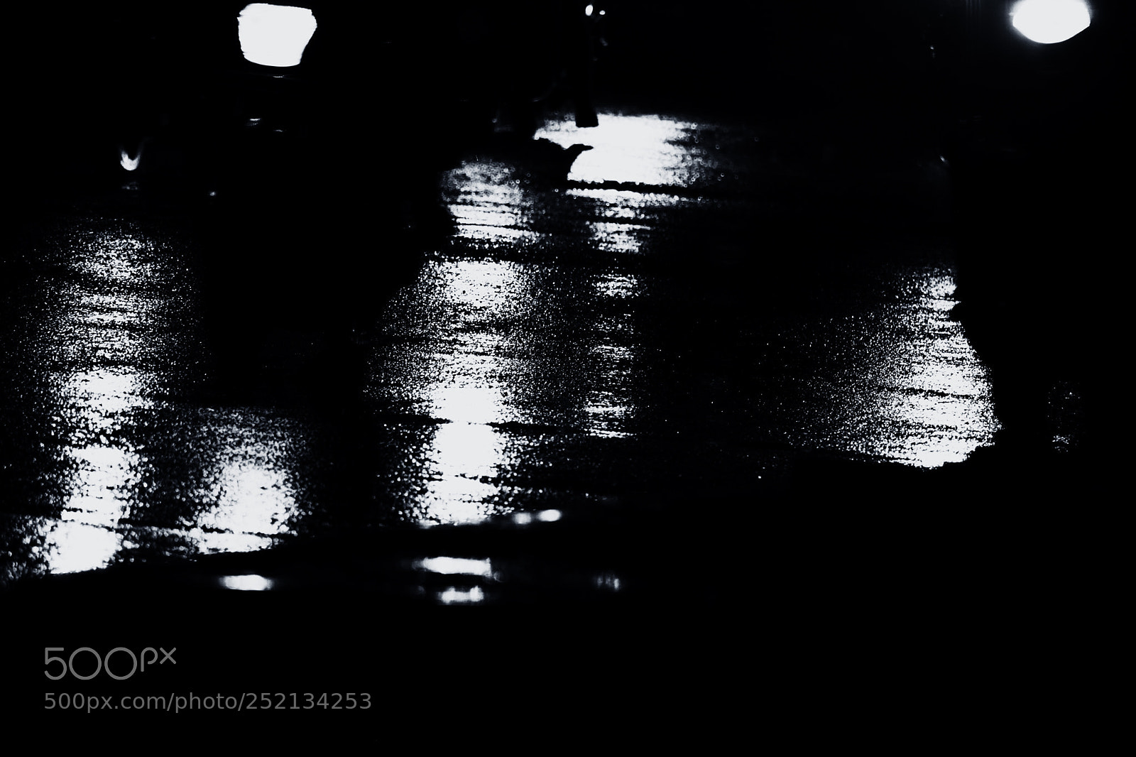 Nikon D5300 sample photo. Damp photography